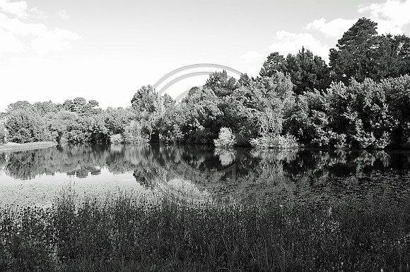 Reflection