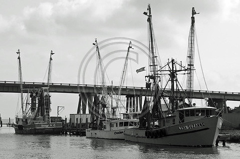 Shrimp Boats at Lazaretto