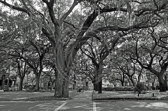 Pulaski Square