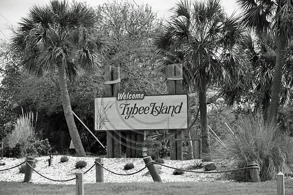 Welcome to Tybee Island