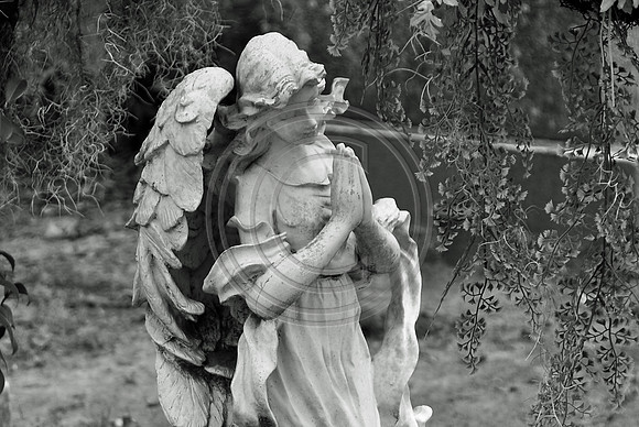 Praying Angel