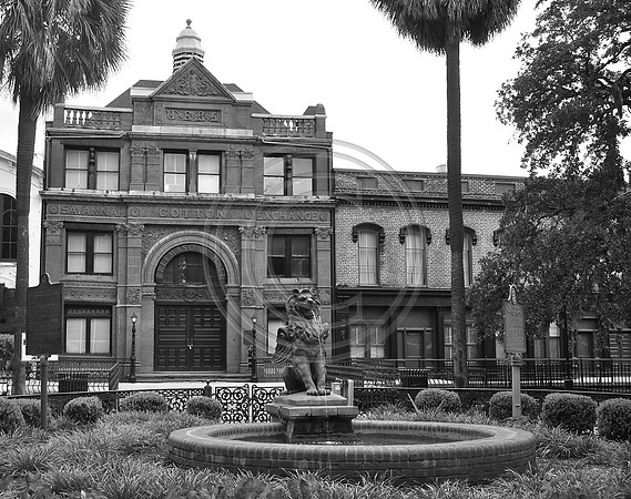 Cotton exchange with lion