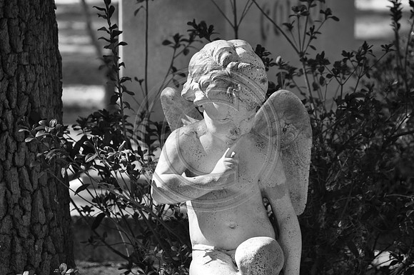 Whispering Angel