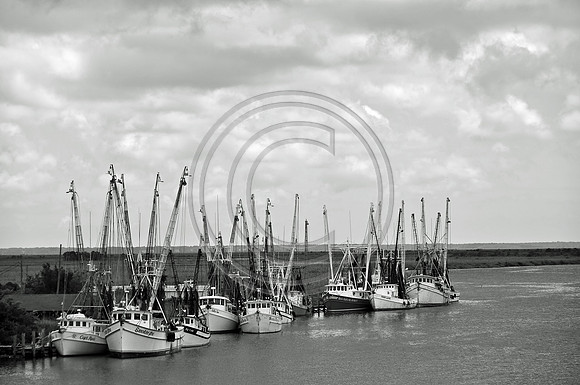 Shrimp Boats