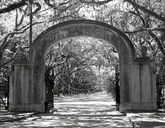 Wormsloe Gate
