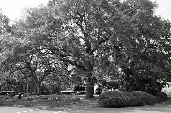 Warren Square