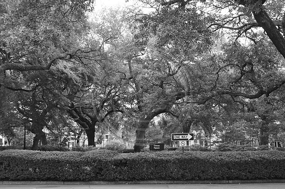 Greene Square