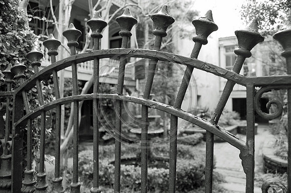 Looking thru the gate