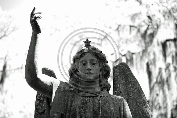 Star Angel Portrait