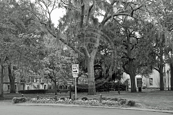 Calhoun Square