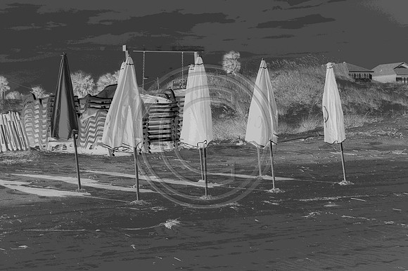 Beach Umbrellas