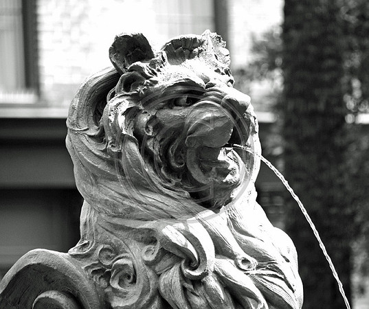 Cotton Exchange Lion
