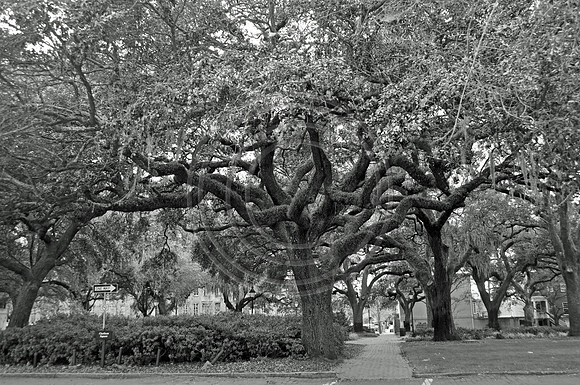 Chatham Square