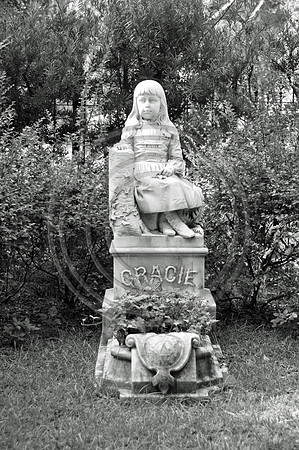 Gracie