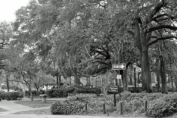 Oglethorpe square