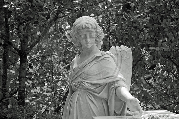 Taliafero angel