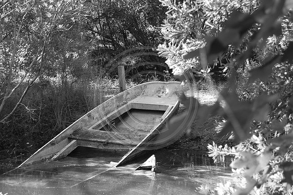 Boat in Pond